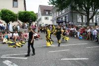 IMG_6176 (2) 